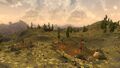 Thumbnail for version as of 18:33, 9 May 2023