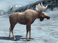 Thumbnail for version as of 09:17, 16 January 2010