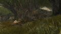 Thumbnail for version as of 07:00, 10 May 2023