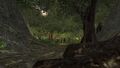 Thumbnail for version as of 11:01, 7 May 2017