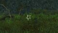 Thumbnail for version as of 11:02, 8 May 2023