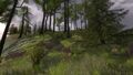 Thumbnail for version as of 01:01, 7 May 2017