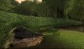 Thumbnail for version as of 22:58, 22 October 2013