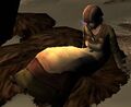 Thumbnail for version as of 10:46, 12 February 2018