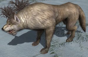 Mountain Warg.jpg