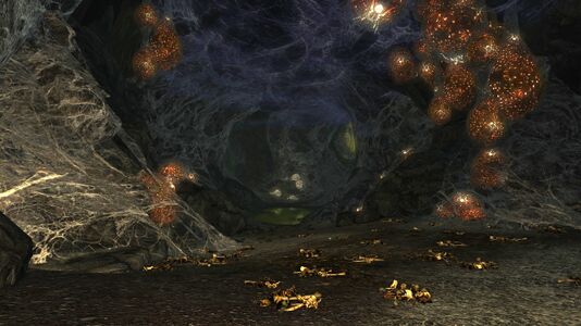 the infested tunnels