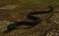 Deep Emerald Snake