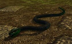 Deep Emerald Snake
