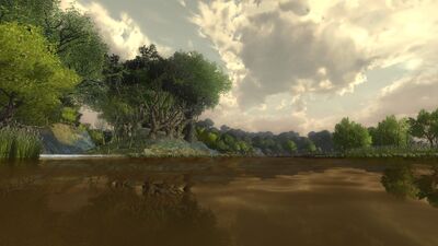 For a long while, the Old Forest follows the left bank of the river. The Withywindle enters the Baranduin from the northern reaches of the forest.