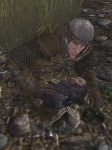 Image of Lóthar