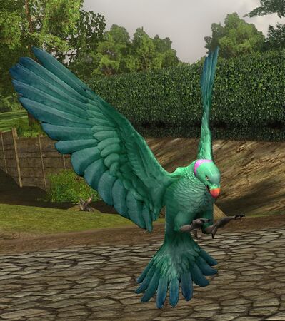 Parrot of Umbar Baharbêl