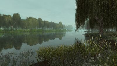 Mist marks the marshy land as the Entwash becomes a border river north of the Beacon Hills of Gondor.