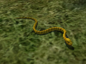 Marsh Snake.jpg