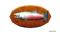 15-pound Salmon Trophy