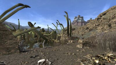 The bones of ancient fallen dragons have been revealed at Ushumût.