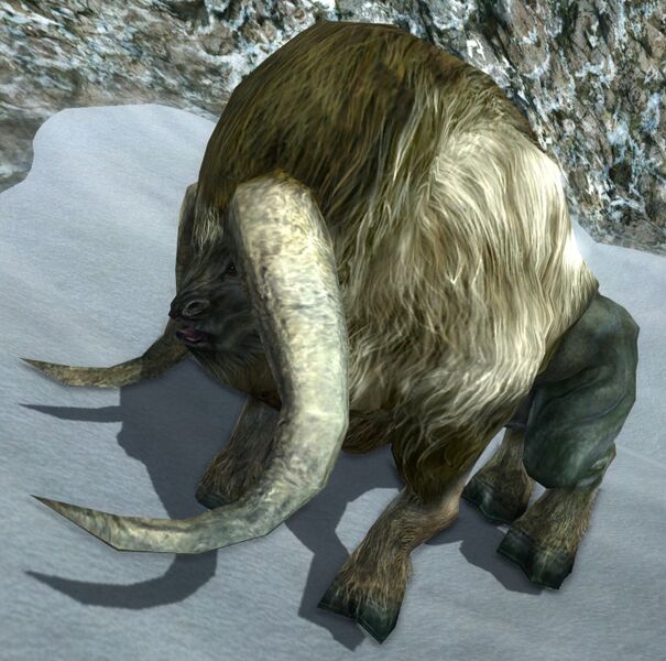File:Snow-mantle Matron.jpg
