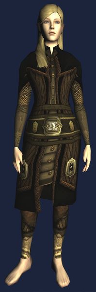 File:Chestplate of the Grey Mountain Elite (front).jpg