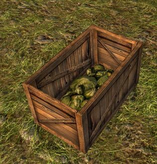 Partial Crate of Cabbages