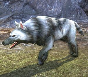 Sturdy Pack-wolf.jpg