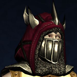 Hood includes attached bevor.