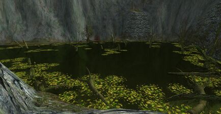 The Sirannon forms the Black Pool in front of the entrance to Moria, its too-quiet surface evoking a sense of danger.