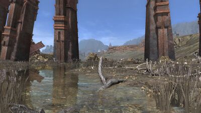 The former lake bed is choked with withered reeds and half-submerged animal bones and dead trees.