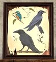Hand-sketched Painting of Curious Corvids