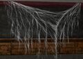 Thumbnail for version as of 22:51, 2 September 2025