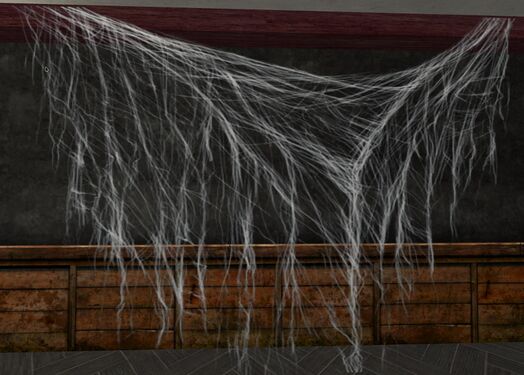 Ceiling Cobwebs