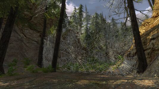 Thick webs block the way to the inner grove