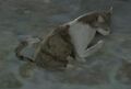 Thumbnail for version as of 22:18, 13 July 2025
