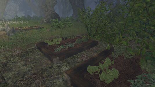 Crops growing in planters