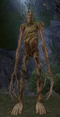 Longbough, an ent in Evendim