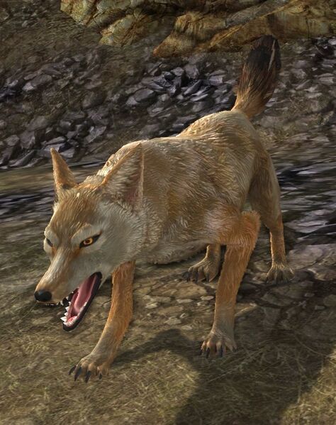 File:Salt-land Jackal.jpg