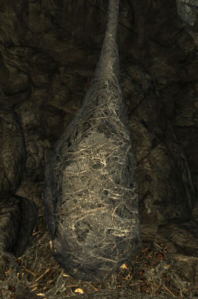 File:Wiggling Cocoon.jpg