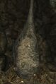 Thumbnail for version as of 05:20, 2 July 2025