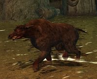 One of the Howling Barrow-hound that haunt the interior of the barrows of Bree-land.