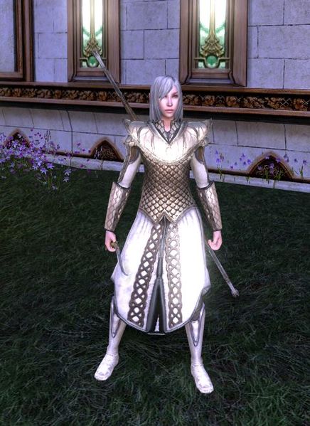 File:Mirkwood Soldier - Property Guard.jpg