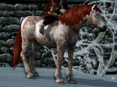 Fleabitten Coat: Flaxen Chestnut