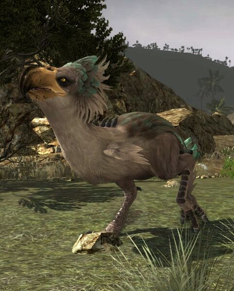 File:Kalorkhûn Matron.jpg