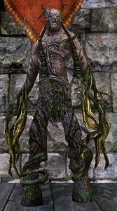 A Moss-patch Elder of the Ettenmoors