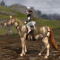 Image of Prized Stangard Pony