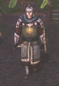 Image of Rohirrim Defender