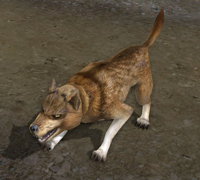 Wolfhound Dunland Lotro Wiki