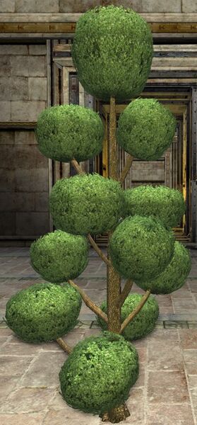 Pompom Topiary