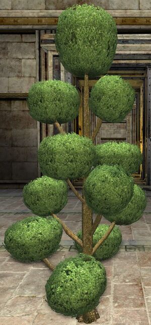 Pompom Topiary