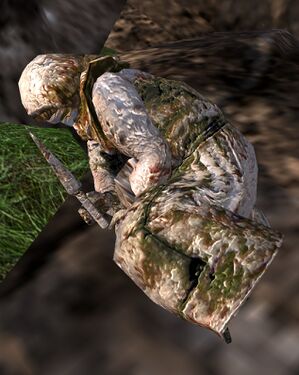 The preserved remains of Wyrgende, unmoved for sixty-six years