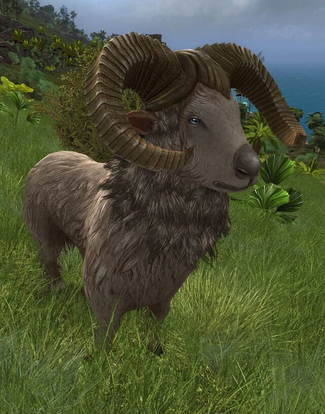Shâba - Lotro-Wiki.com