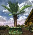 Thumbnail for version as of 20:02, 25 September 2025