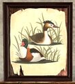 Hand-sketched Painting of Meticulous Mallards
